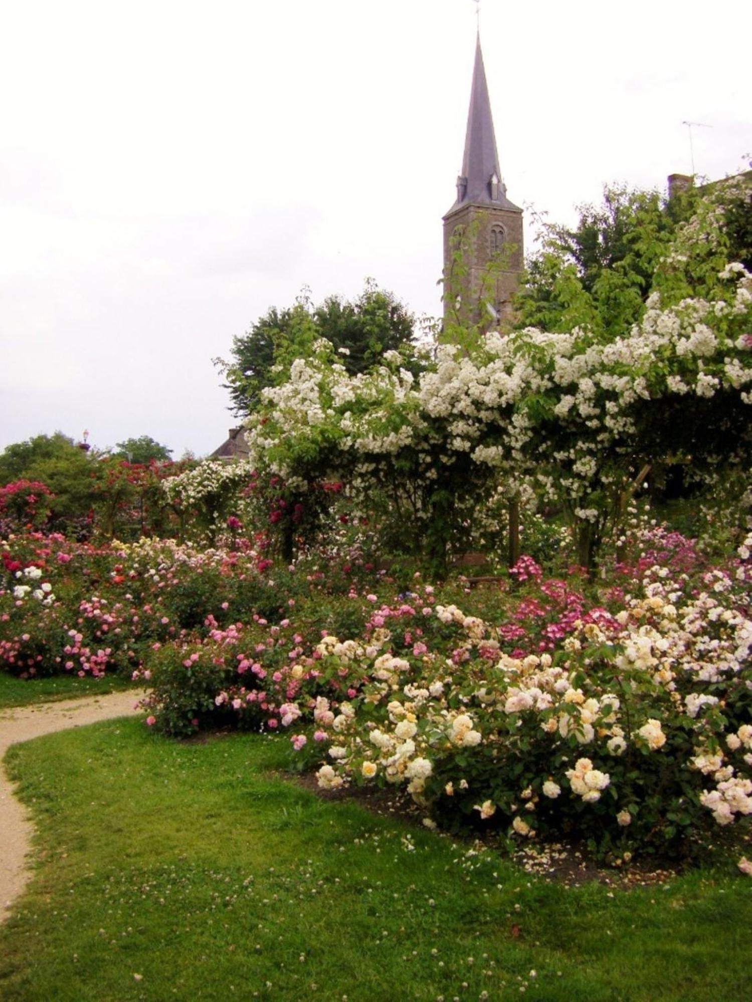 Bed and Breakfast La Cloue Sainte-Marie-du-Bois  Esterno foto