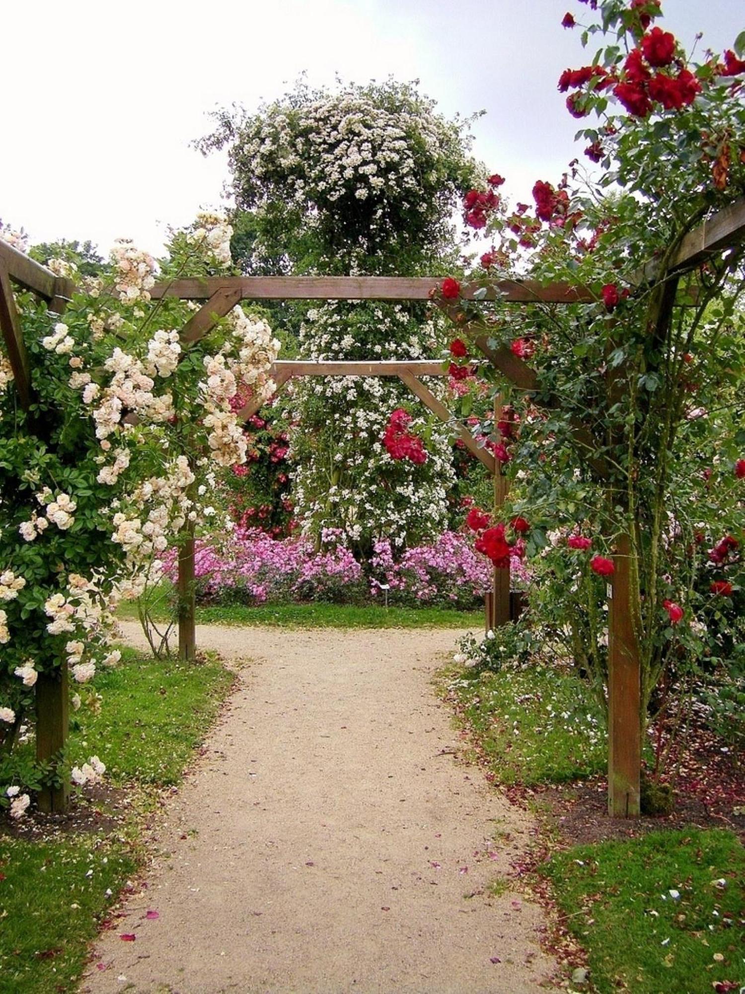Bed and Breakfast La Cloue Sainte-Marie-du-Bois  Esterno foto
