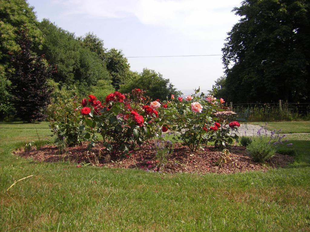 Bed and Breakfast La Cloue Sainte-Marie-du-Bois  Esterno foto